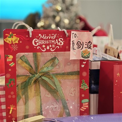 Sretan Božić i Nova godina!